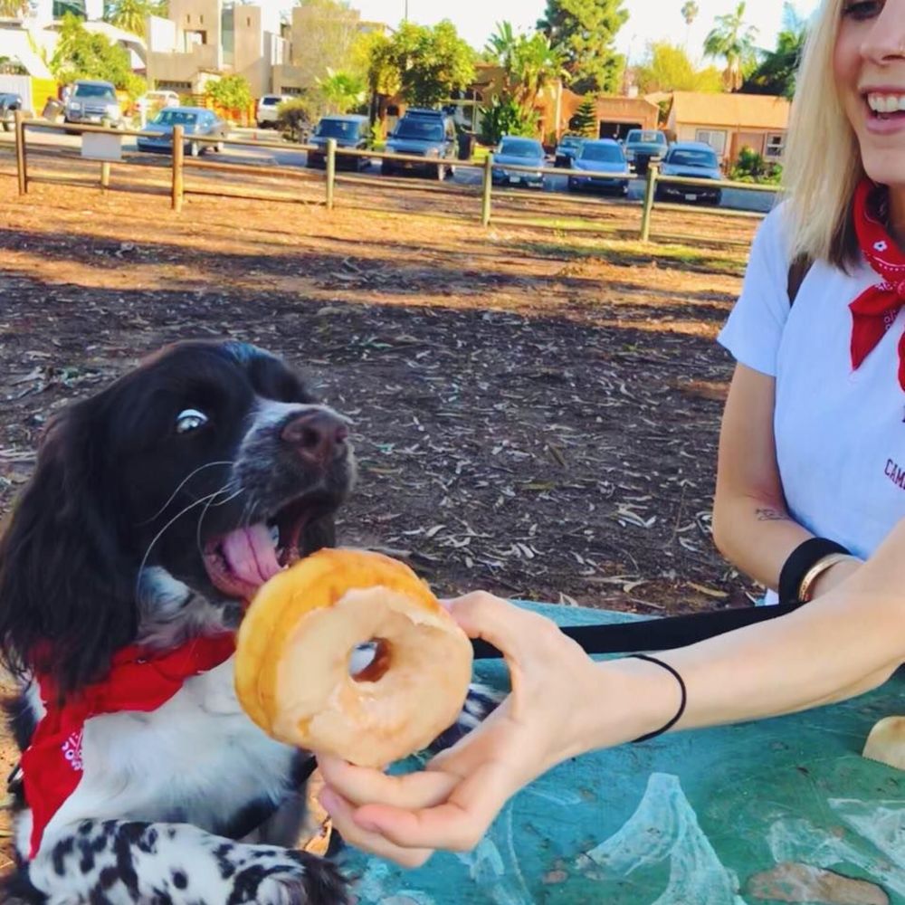 Meet your Posher, Hailey